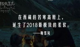 国产三级黄色毛片,暗流涌动的地下世界