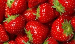 水莓100线在线观看国产,水莓100线，在线观看新体验