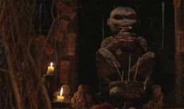 国产激情在,点燃民族自豪与梦想的火焰