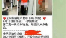 国产偷拍厕所,隐私边界与法律挑战